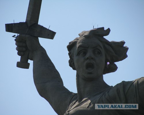 Чиновникам из Волгограда не нравится символ города