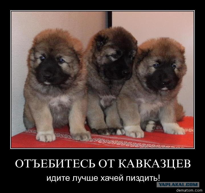 Кавказцы Выебали Шлюху