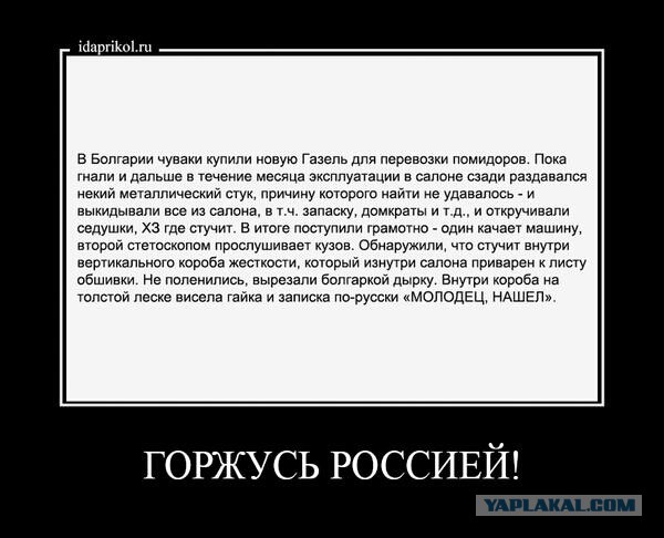 4935469.jpg