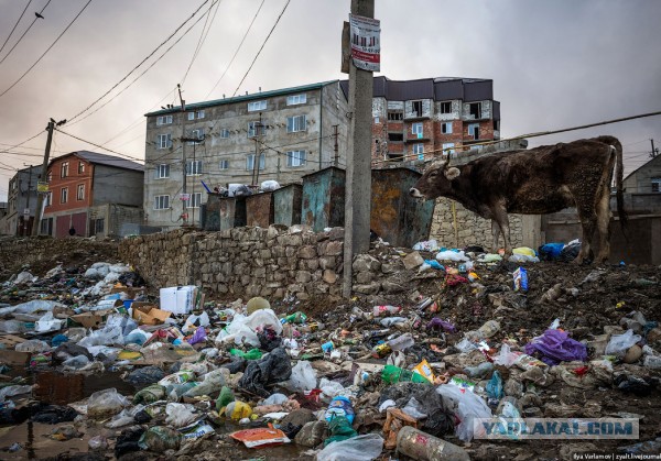 В Дагестане установили мусорные баки