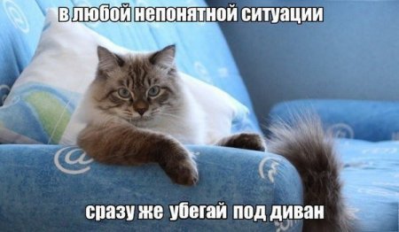 http://s00.yaplakal.com/pics/pics_original/9/6/9/3121969.jpg