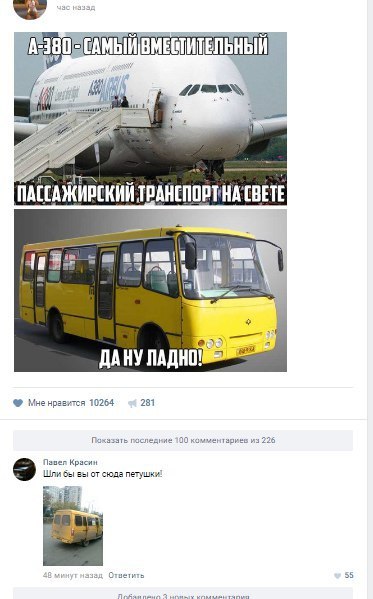 8684079.jpg