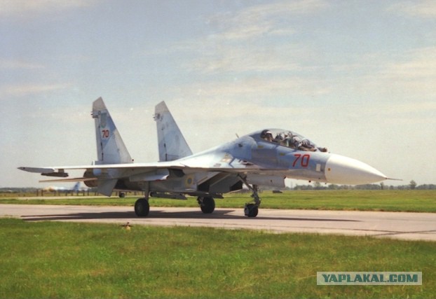 ВВС США подтвердили, что на борту упавшего Су-27 на Украине был американский пилот