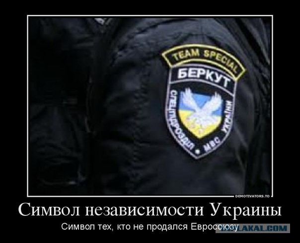 Поздравление с днём беркута Поздравление с днём беркута