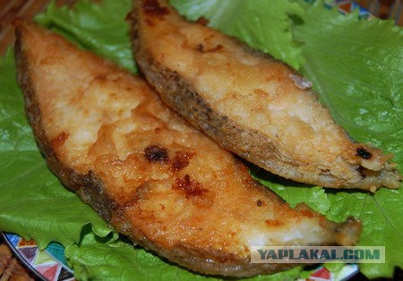 лучшие рецепты холодного копчения курицы лучшие рецепты холодного копчения курицы