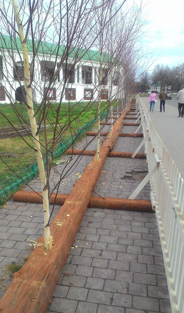 В Екатеринбурге рабочие раскопали газон, который местный предприниматель оборудовал по швейцарскому стандарту