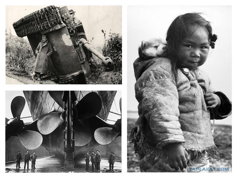 Фото: yaplakal.com