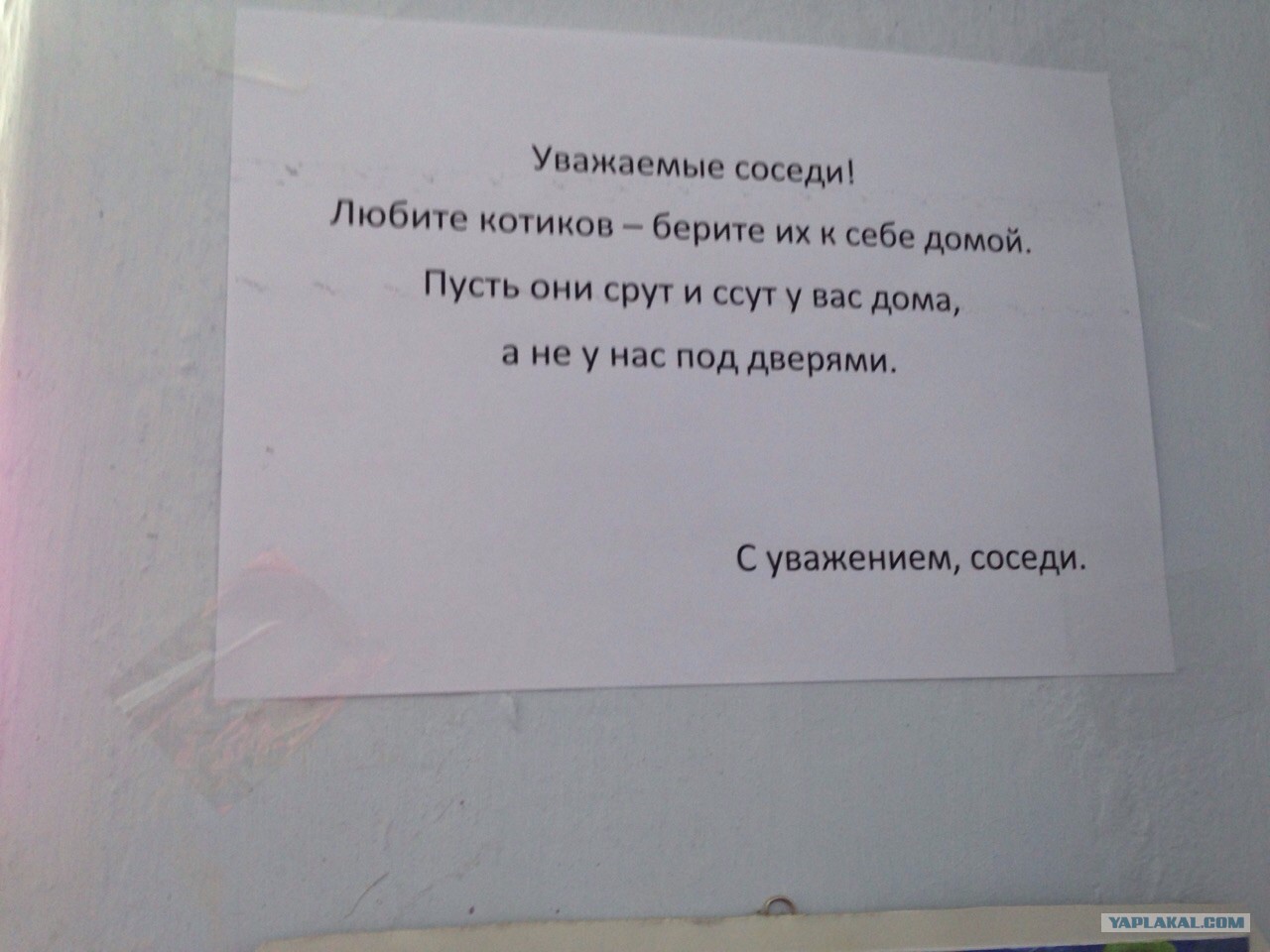 В подъезде брюнетка светит прелестями не снимая шубу