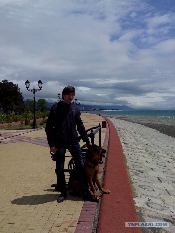 Поездка с собакой, на море, дикарями (Краснодар)