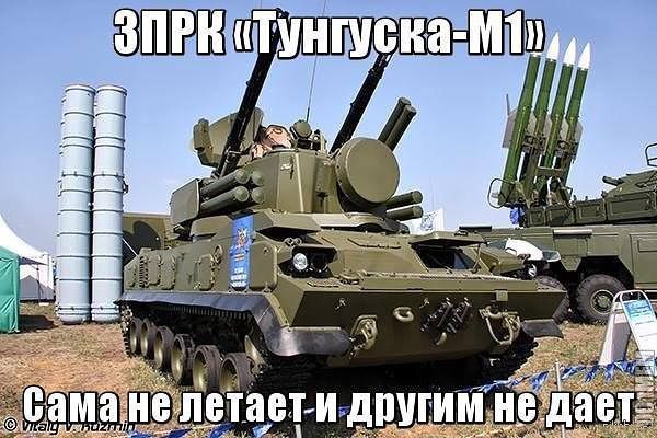 4151789.jpg
