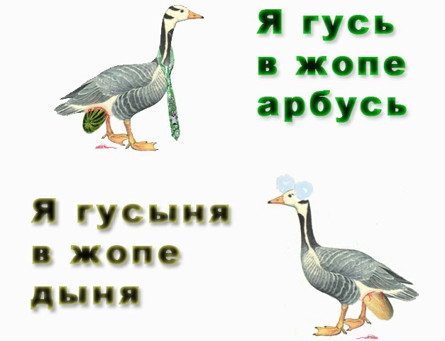 Картинка гуси хуюси