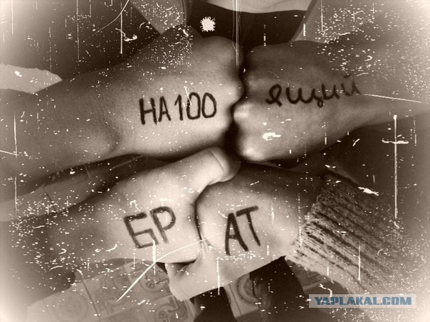 Скачать песню homieбрат