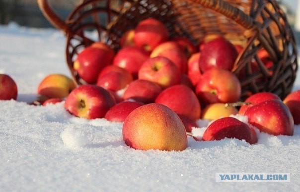 по кривой извилистой дороге слушать по кривой извилистой дороге слушать