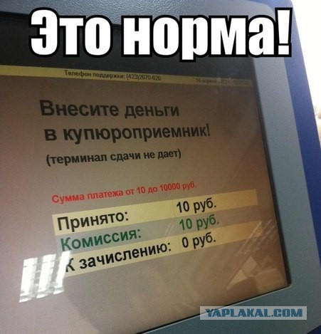 2362399.jpg