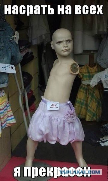 5413499.jpg