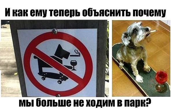 Всё это ХОЖ