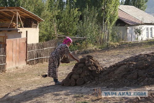 Украина. Время заготовки кизяков заканчивается