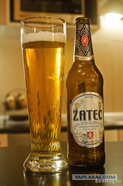 Žatecký Gus не чешское пиво?