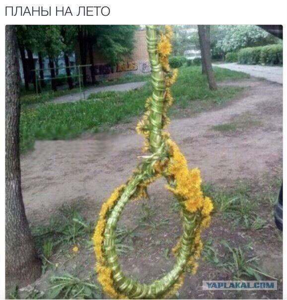 Картинки из сети