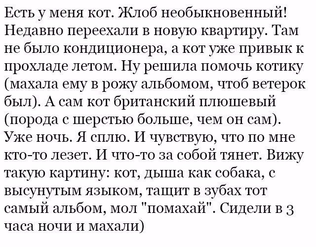 Субботняя порция перлов, высказываний, котоламповых историй