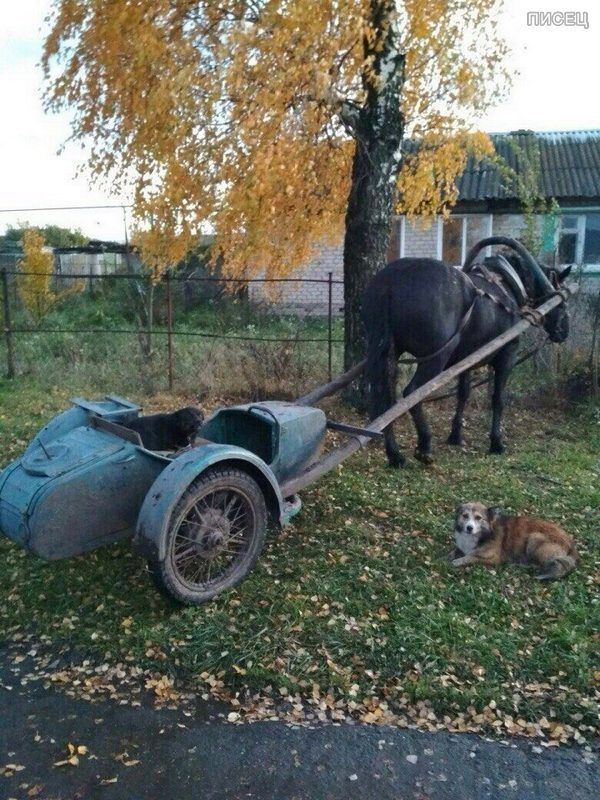 Деревенские приколы