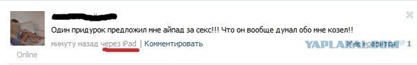 Дрочит Коню Секс