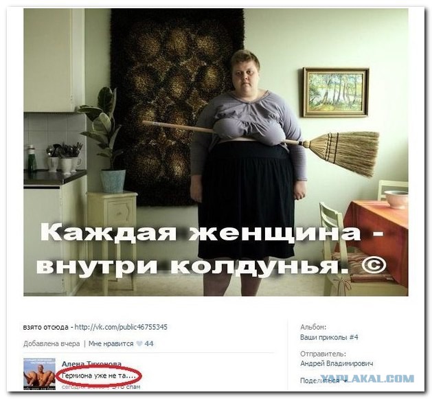 3836999.jpg