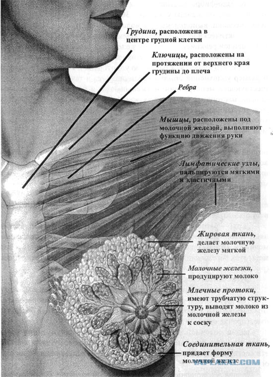 Срочно сниму комнату Москва