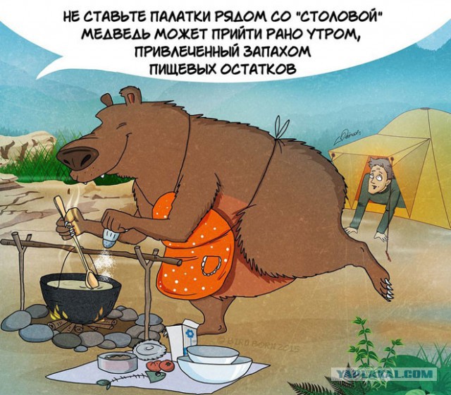 10 забавных, но правдивых комиксов, о правилах поведения с медведями