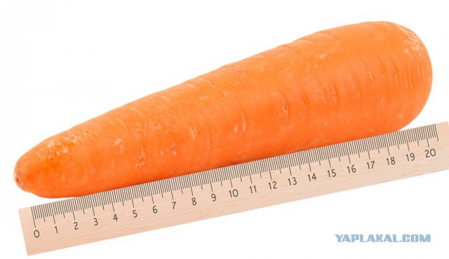 В Саратове вегану вставили морковь в анальное отверстие