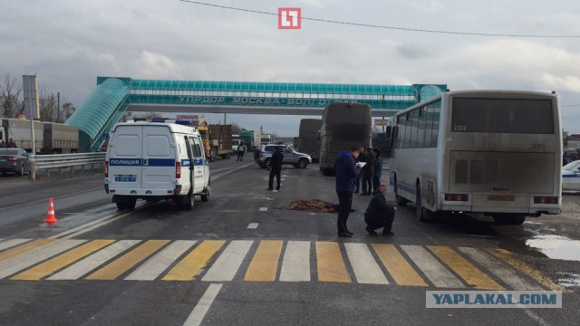 Автобус насмерть сбил трех девочек в Волгоградской области
