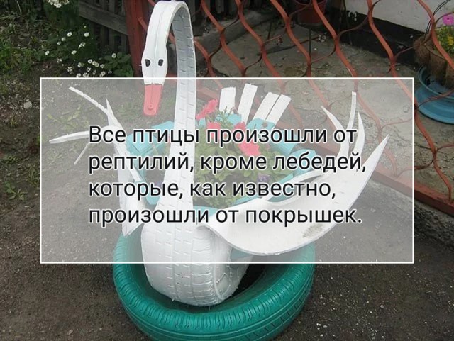 Смех без причины