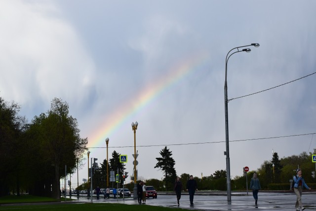 Край родной