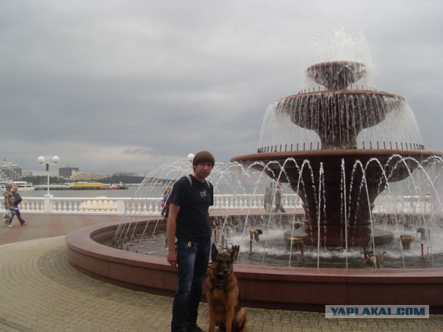 Поездка с собакой, на море, дикарями (Краснодар)