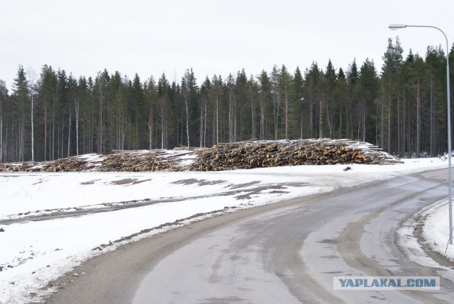 Зачем и как удобряют леса в Швеции