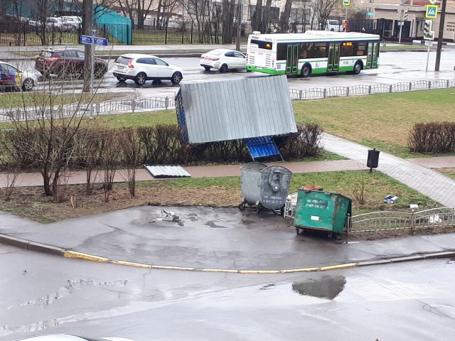 В Москве из-за шторма пострадали 12 человек