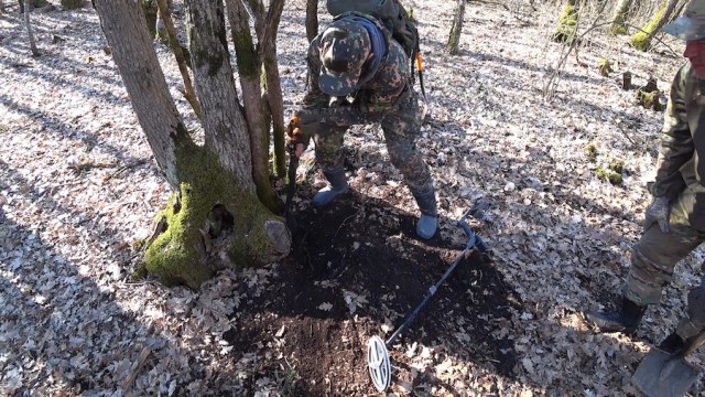 Серебро Крымского хана! Находка под корнем старого дуба