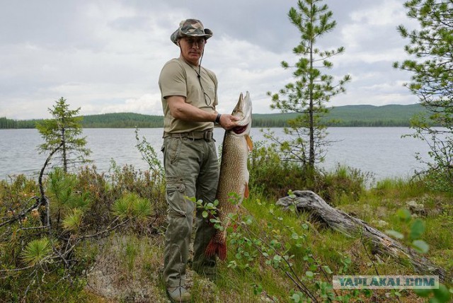 Путин придумал нового героя Спокойной ночи, малыши