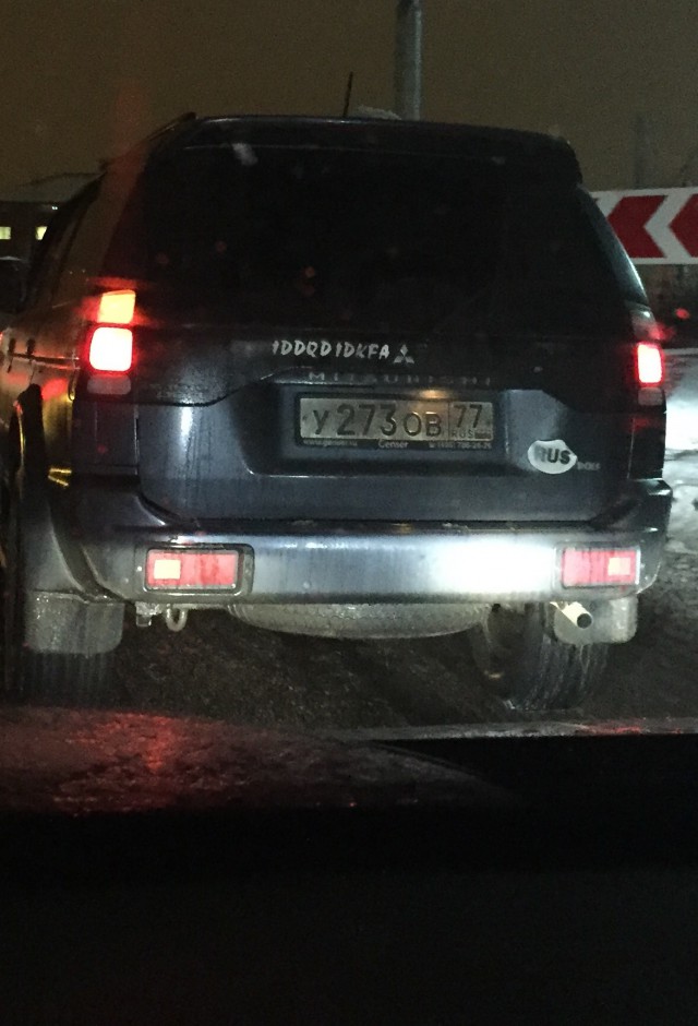 6681810.jpg