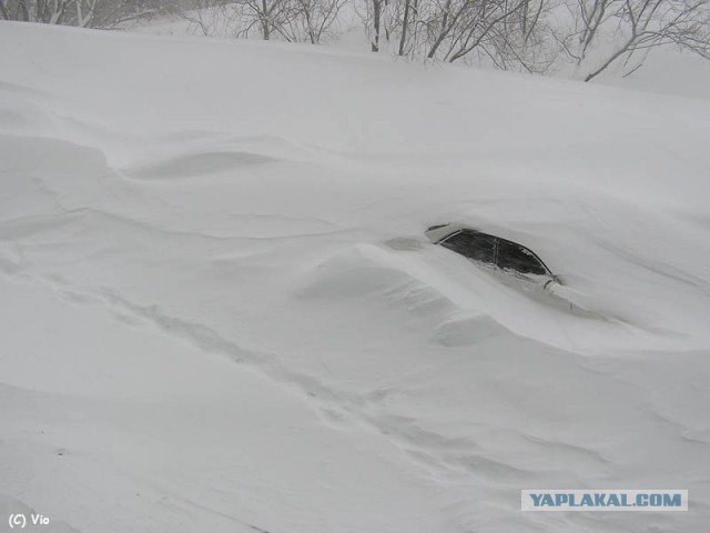 Зима, Россия, снег....