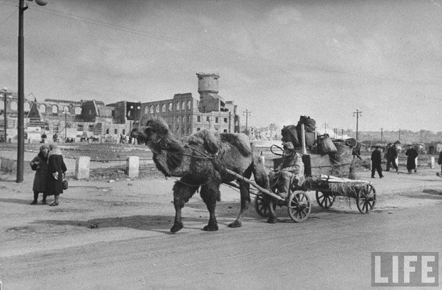 Сталинград в объективе журнала Life. Апрель 1947