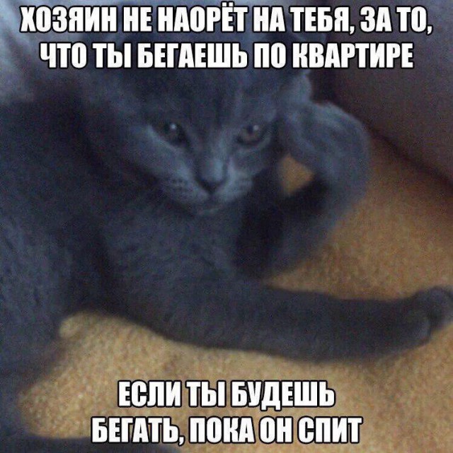 9457020.jpg