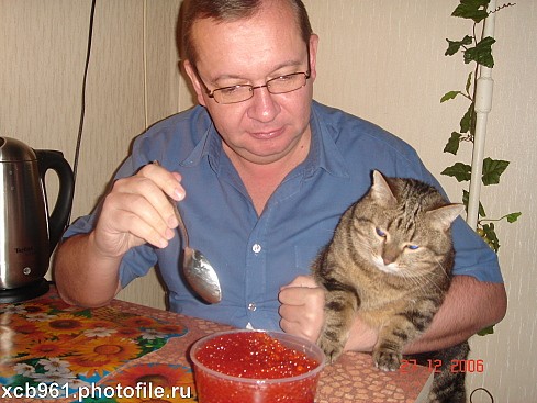 Фотожаба: Правильное питание для кота