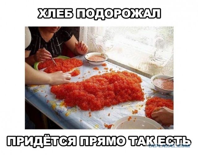 Анекдот про камчатку 137