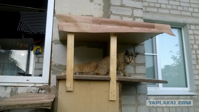 Запиливание балкона, терем для котов и "ежи".