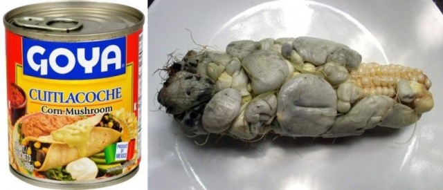 Кузнечики, аллигатор, хлеб и… кукурузный грибок: самые безумные консервы
