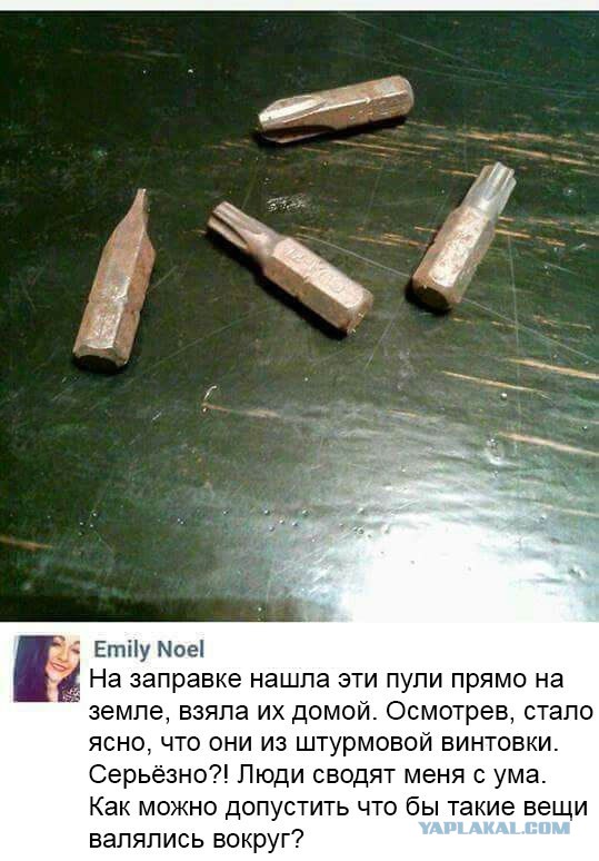 Страшно жить стало, хоть детей из дому не выпускай