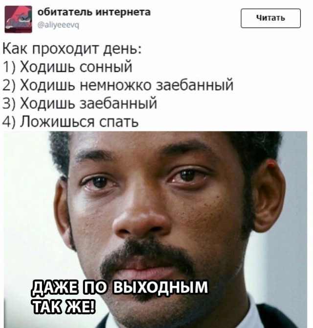 Немного картинок в этот вторник