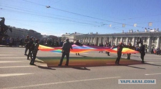 В Петербурге на первомайском шествии распоясались  активисты ЛГБТ
