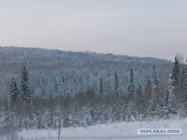 Лично мне не нужен берег турецкий